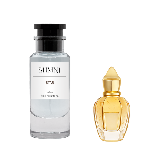 Inspired by STARLIGHT